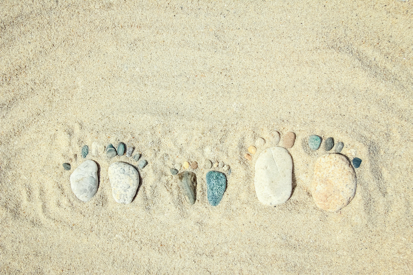 Family Clarity Courses