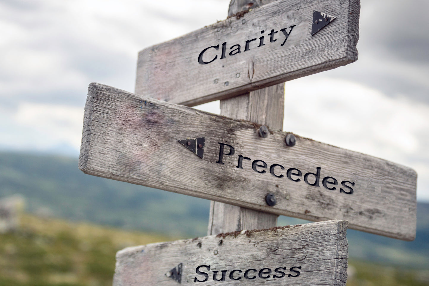 Business Clarity Courses