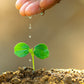 Business Clarity Courses
