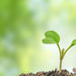 Business Clarity Courses