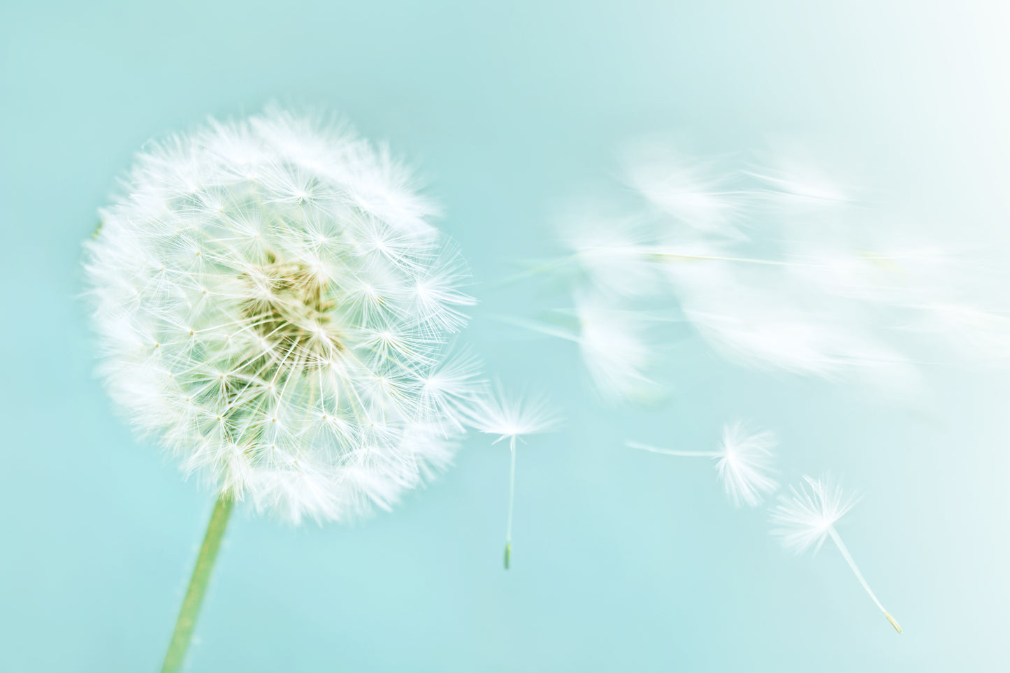 Business Clarity Courses